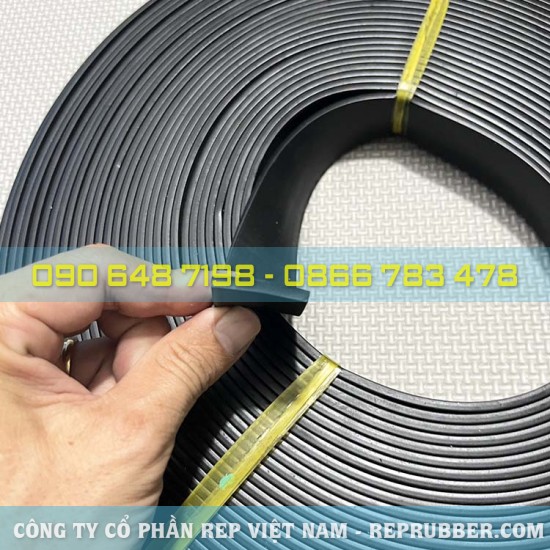 Gioăng cao su EPDM CN 3x25